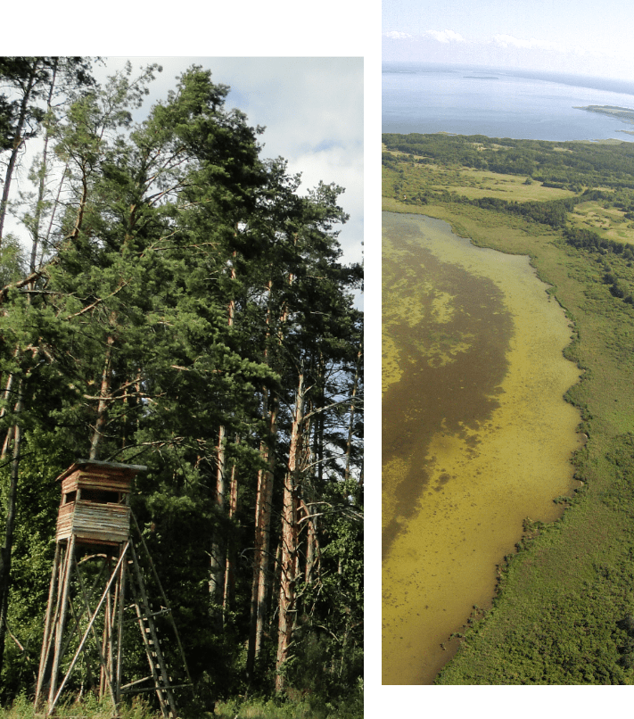 ekosystem powiatu piskiego